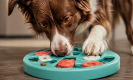 10 Best Interactive Toys to Keep Your Dog Mentally Stimulated