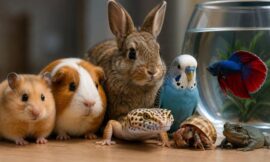 10 Best Small Pets for Apartments and Tiny Spaces