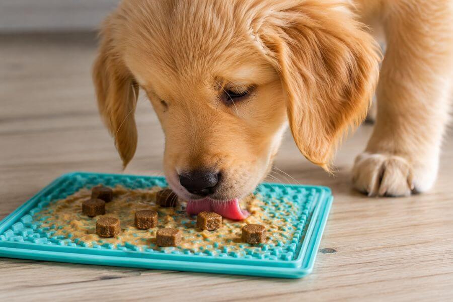 Read more about the article 10 Best Calming Lick Mats and Calming Treat Combos for Puppies