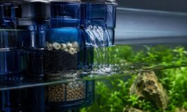 10 Best Fish Tank Filters for Crystal Clear Water in 2026