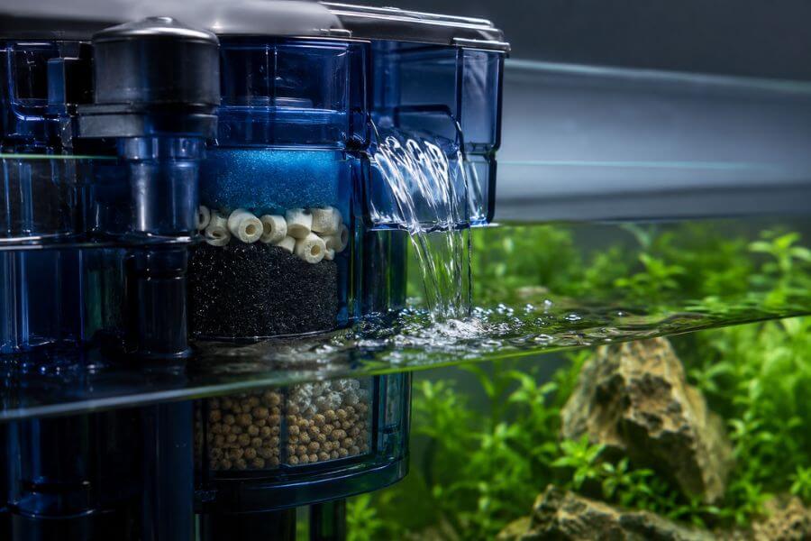 Read more about the article 10 Best Fish Tank Filters for Crystal Clear Water in 2026
