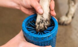 10 Best Portable Paw Washers and No-Rinse Foams for Muddy Dogs