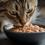 10 Best Wet Cat Foods That Vets Actually Recommend in 2026