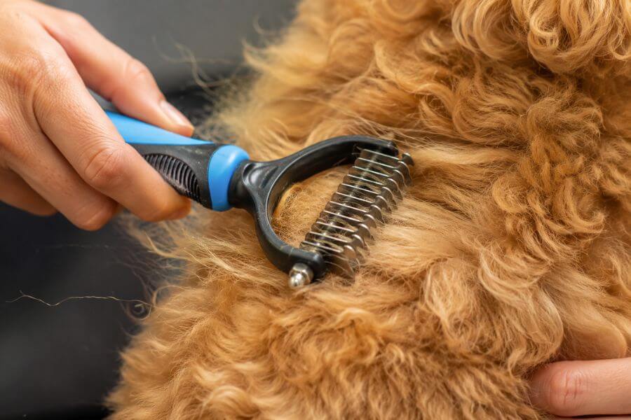 10 Most Ergonomic Dematting Rakes for Golden Retrievers and Poodles pawpaw10