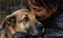 10 Most Heartwarming Dog Rescue Stories That Will Make You Cry