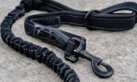 12 Best Shock-Absorbing Bungee Leashes for Large Dogs That Pull