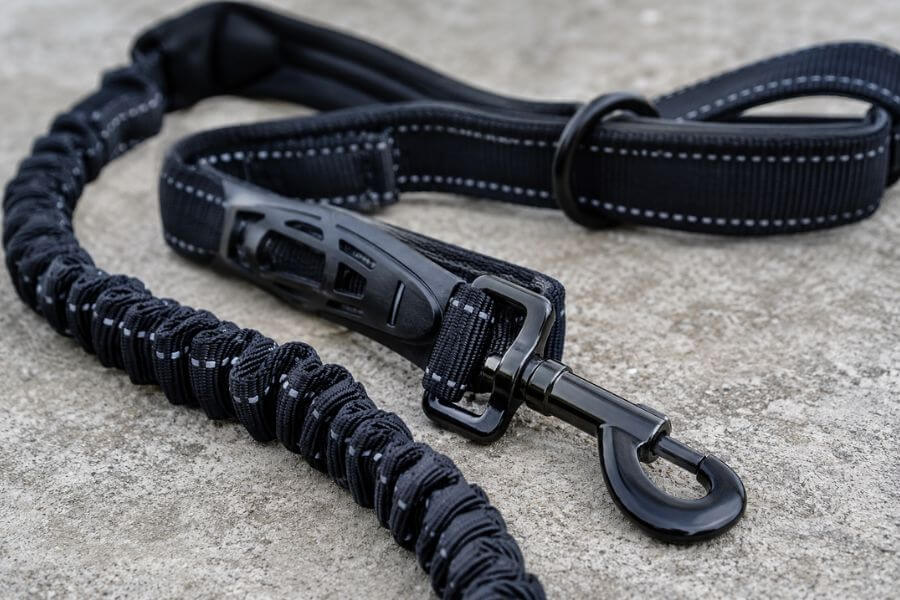Read more about the article 12 Best Shock-Absorbing Bungee Leashes for Large Dogs That Pull