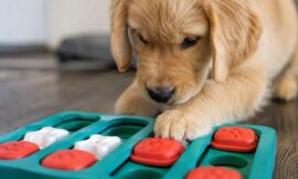 14 Smartest Interactive Puzzle Toys for High-Energy Puppies (2026)