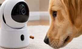6 Best 360-Degree Rotating Pet Cameras With Automated Treat Tossers
