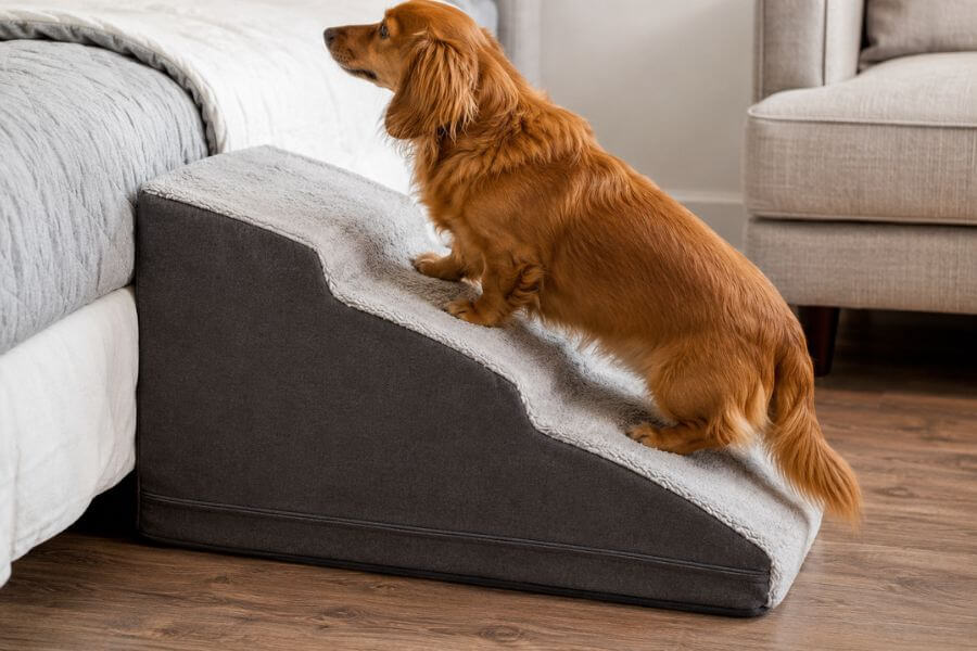 Read more about the article 7 Best Orthopedic Foam Dog Ramps for High Beds and Couch Access