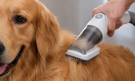 9 Best Cordless Dog Grooming Vacuums for Heavy Shedding Breeds (2026)