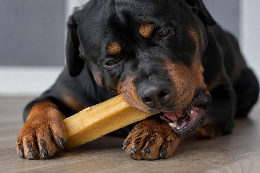 Read more about the article 9 Best Long-Lasting Natural Yak Cheese Chews for Aggressive Chewers